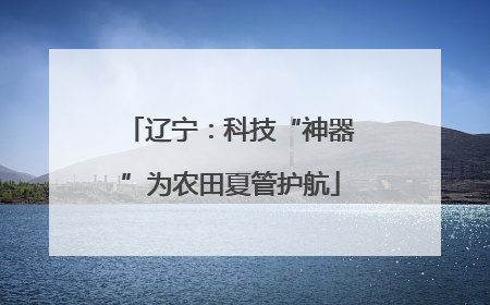 辽宁：科技“神器”为农田夏管护航