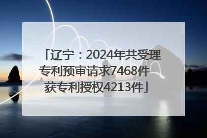 辽宁：2024年共受理专利预审请求7468件 获专利授权4213件