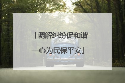 调解纠纷促和谐 一心为民保平安