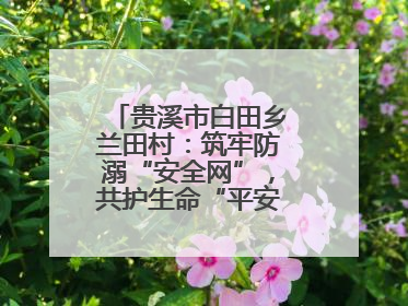 贵溪市白田乡兰田村：筑牢防溺“安全网”，共护生命“平安线”（图）