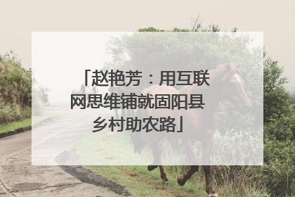 赵艳芳：用互联网思维铺就固阳县乡村助农路