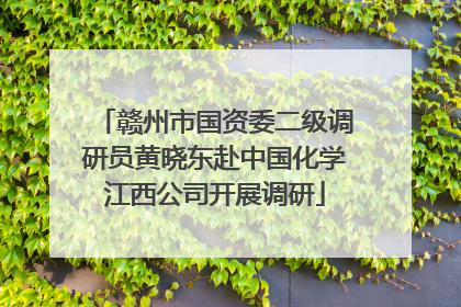 赣州市国资委二级调研员黄晓东赴中国化学江西公司开展调研