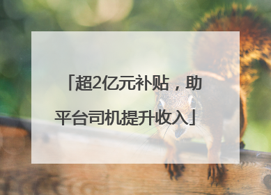 超2亿元补贴，助平台司机提升收入