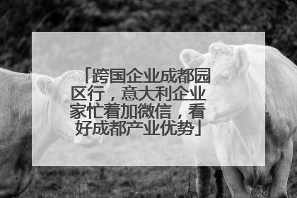 跨国企业成都园区行，意大利企业家忙着加微信，看好成都产业优势