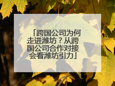 跨国公司为何走进潍坊？从跨国公司合作对接会看潍坊引力