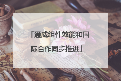 通威组件效能和国际合作同步推进