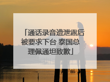通话录音遭泄露后被要求下台 泰国总理佩通坦致歉