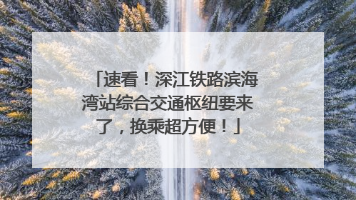 速看！深江铁路滨海湾站综合交通枢纽要来了，换乘超方便！