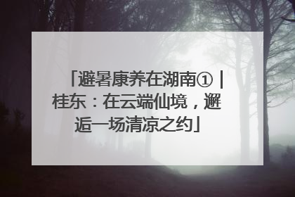避暑康养在湖南①｜桂东：在云端仙境，邂逅一场清凉之约