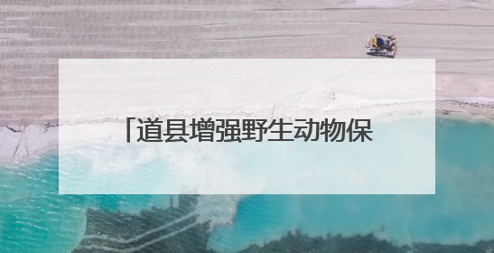 道县增强野生动物保护力度 今年以来共救助野生动物65只