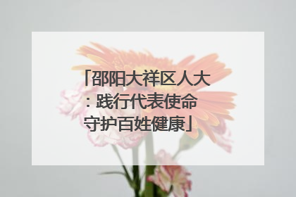 邵阳大祥区人大：践行代表使命 守护百姓健康