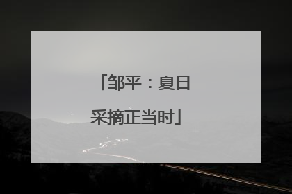 邹平：夏日采摘正当时