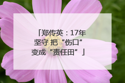 郑传英：17年坚守 把“伤口”变成“责任田”