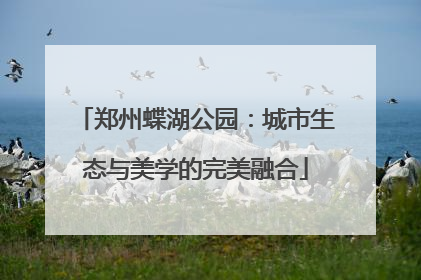 郑州蝶湖公园：城市生态与美学的完美融合