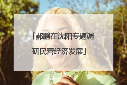 郝鹏在沈阳专题调研民营经济发展