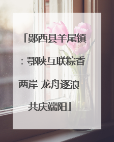 郧西县羊尾镇：鄂陕互联粽香两岸 龙舟逐浪共庆端阳