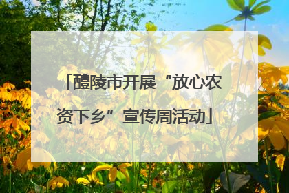醴陵市开展“放心农资下乡”宣传周活动