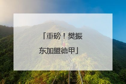 重磅！樊振东加盟德甲