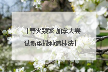 野火频繁 加拿大尝试新型撒种造林法