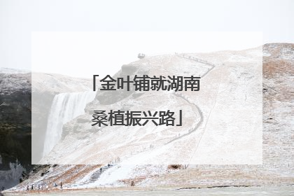 金叶铺就湖南桑植振兴路