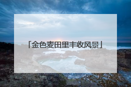 金色麦田里丰收风景
