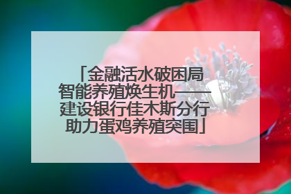金融活水破困局 智能养殖焕生机——建设银行佳木斯分行助力蛋鸡养殖突围