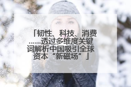韧性、科技、消费……透过多维度关键词解析中国吸引全球资本“新磁场”
