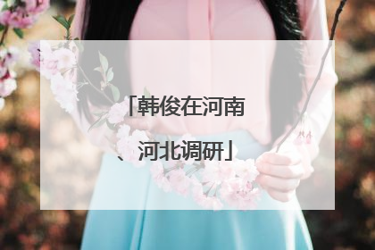 韩俊在河南、河北调研