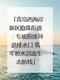 青岛西海岸新区隐珠街道：专项摸排河道排水口 筑牢碧水清流生态防线
