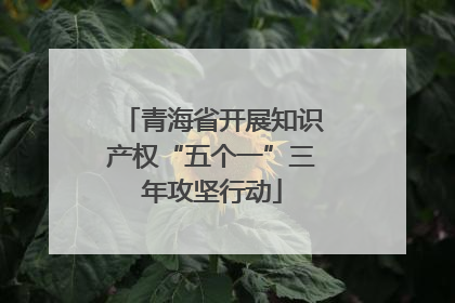 青海省开展知识产权“五个一”三年攻坚行动