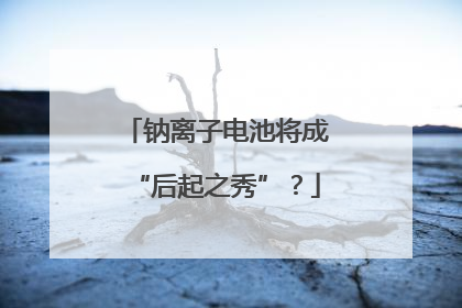 钠离子电池将成“后起之秀”？