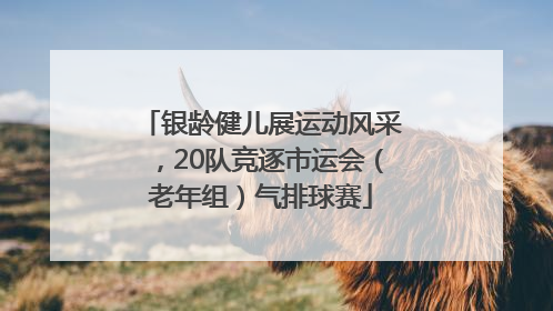 银龄健儿展运动风采，20队竞逐市运会（老年组）气排球赛