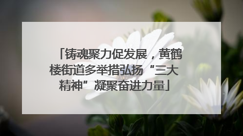 铸魂聚力促发展，黄鹤楼街道多举措弘扬“三大精神”凝聚奋进力量