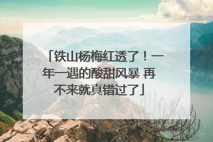 铁山杨梅红透了！一年一遇的酸甜风暴 再不来就真错过了