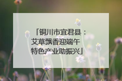 铜川市宜君县：艾草飘香迎端午 特色产业助振兴