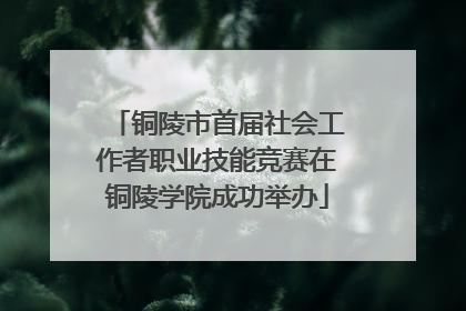 铜陵市首届社会工作者职业技能竞赛在铜陵学院成功举办