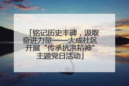 铭记历史丰碑，汲取奋进力量——大成社区开展“传承抗洪精神”主题党日活动