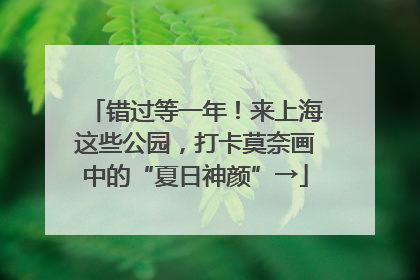 错过等一年！来上海这些公园，打卡莫奈画中的“夏日神颜”→