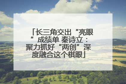 长三角交出“亮眼”成绩单 秦诗立：聚力抓好“两创”深度融合这个棋眼