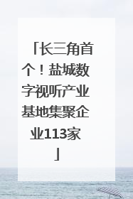 长三角首个！盐城数字视听产业基地集聚企业113家