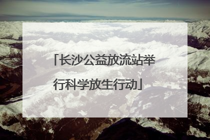 长沙公益放流站举行科学放生行动