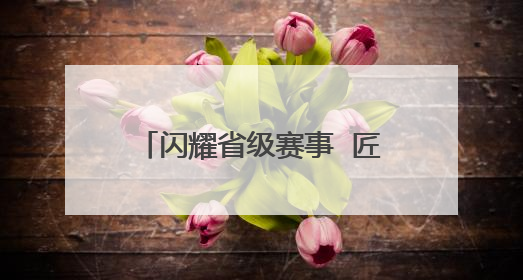闪耀省级赛事  匠心技艺斩获多项殊荣
