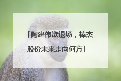 陶建伟欲退场，棒杰股份未来走向何方