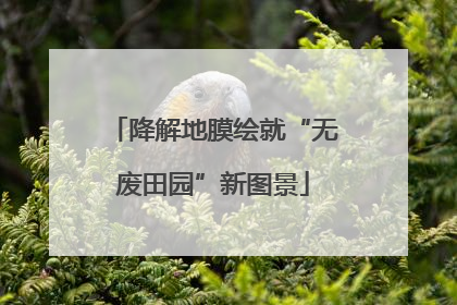 降解地膜绘就“无废田园”新图景