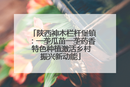陕西神木栏杆堡镇：一垄瓜苗一垄药香 特色种植激活乡村振兴新动能