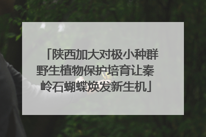 陕西加大对极小种群野生植物保护培育让秦岭石蝴蝶焕发新生机