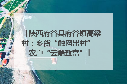 陕西府谷县府谷镇高梁村：乡货“触网出村” 农户“云端致富”