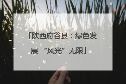 陕西府谷县：绿色发展 “风光”无限