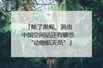 除了果蝇、涡虫 中国空间站还有哪些“动物航天员”