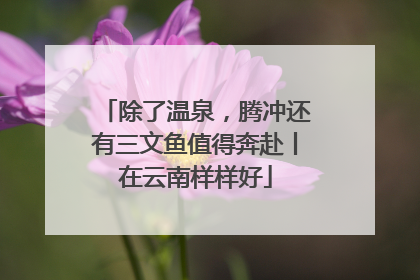 除了温泉，腾冲还有三文鱼值得奔赴丨在云南样样好
